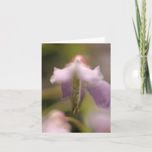 Blank Wenskaart met blote vetdoorbloeding Kaart (Voorkant)