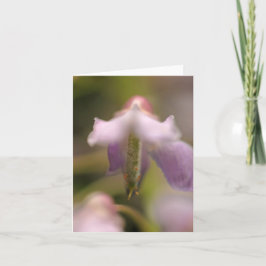 Blank Wenskaart met blote vetdoorbloeding Kaart