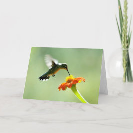 Blank wenskaart met kolibrie en bloem kaart