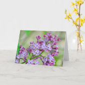 Blank wenskaart met Lila bloemen Kaart (Gele Bloem)