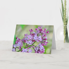 Blank wenskaart met Lila bloemen Kaart