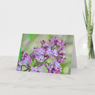 Blank wenskaart met Lila bloemen Kaart