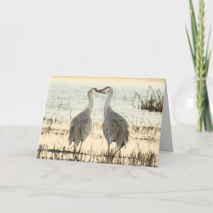 Blank Wenskaart met Sandhill Cranes Kaart