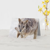 Blank Wenskaart met Wallaby Kaart (Gele Bloem)
