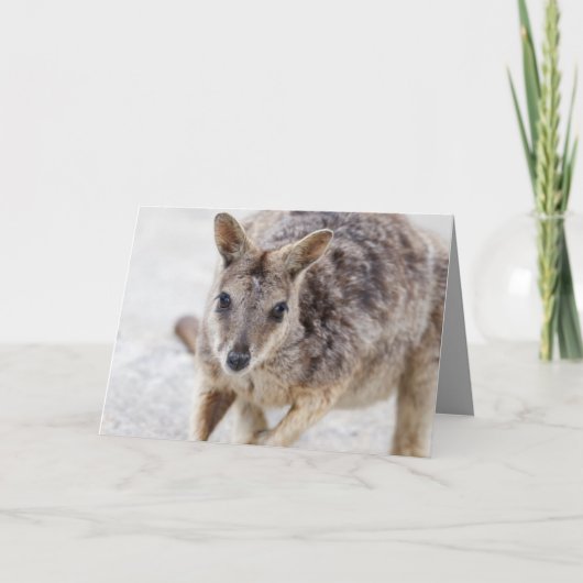 Blank Wenskaart met Wallaby Kaart (Voorkant)