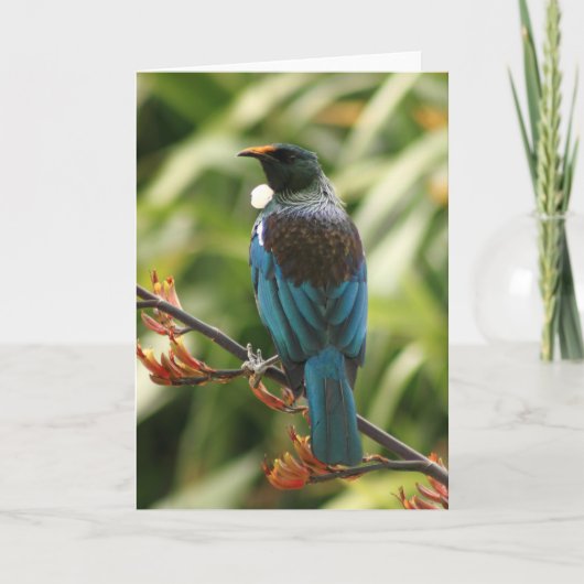 Blank Wenskaart: NZ Tui Bird Kaart (Voorkant)