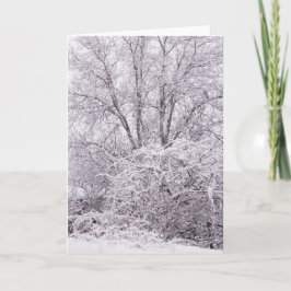 Blank Winter Scene Kaart