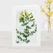Blank Yellow wilde bloemen wenskaart Kaart (Gele Bloem)