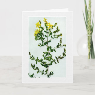 Blank Yellow wilde bloemen wenskaart Kaart