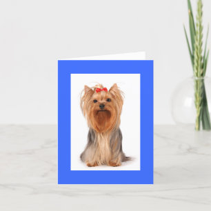 Blank Yorkshire Terrier Puppy Hondenkaart Bedankkaart