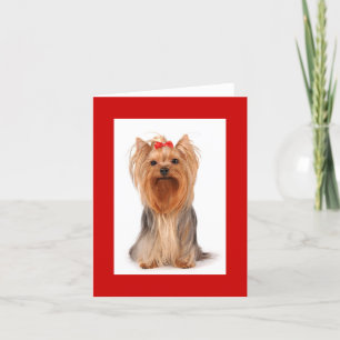 Blank Yorkshire Terrier Puppy Hondenkaart Bedankkaart