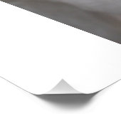blanke herder poster (Hoek)