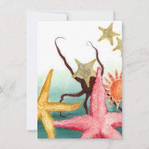 Blanken van het reddingspakket van de Starfish Kaart