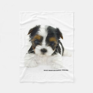 Blanket - Biewer Terrier Puppy Fleece Deken