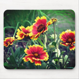 Blanket Daisy Flowers Muismat