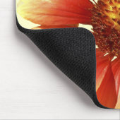 Blanket Flower Gaillardia Close-up foto Muismat (Hoek)