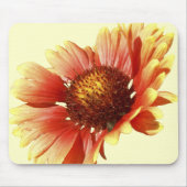 Blanket Flower Gaillardia Close-up foto Muismat (Voorkant)