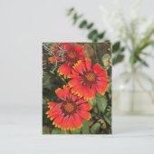 Blanket Flowers Briefkaart (Staand voorkant)