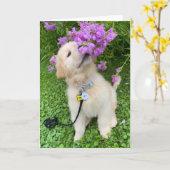 Blankkende kaart voor avonturen van archie 5 (Gele Bloem)