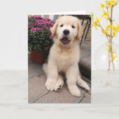 Blankkende kaart voor avonturen van archie 5 (Gele Bloem)