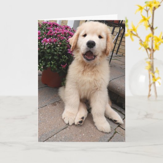 Blankkende kaart voor avonturen van archie 5 (Gele Bloem)