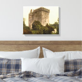 Blarney Castle Cork, Ireland c1900, print (Insitu (Slaapkamer))