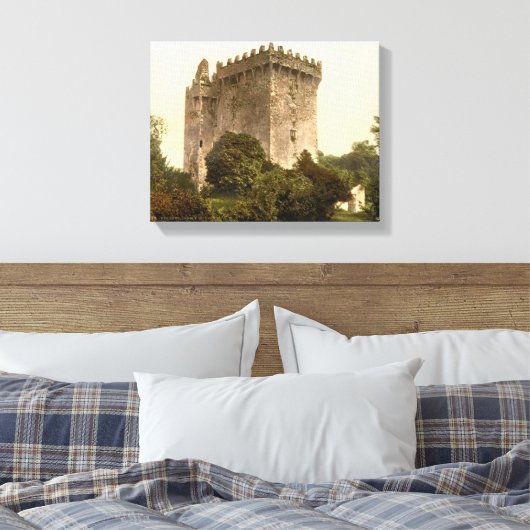 Blarney Castle Cork, Ireland c1900,  print (Insitu (Slaapkamer))