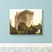 Blarney Castle Cork, Ireland c1900, print (Insitu (Houten vloer))