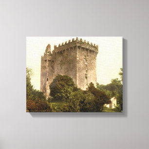 Blarney Castle Cork, Ireland c1900,  print
