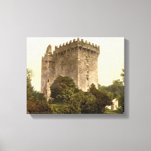 Blarney Castle Cork, Ireland c1900, print (Voorkant)
