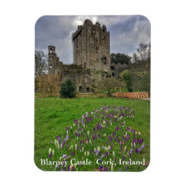 Blarney Castle Cork, Ireland Magnet Magneet