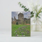 Blarney Castle, County Cork, Ierland Briefkaart (Staand voorkant)