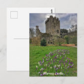 Blarney Castle, County Cork, Ierland Briefkaart (Voorkant / Achterkant)