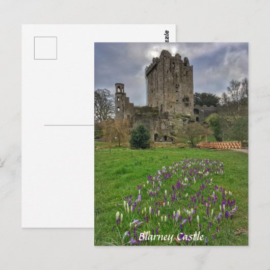 Blarney Castle, County Cork, Ierland Briefkaart (Voorkant / Achterkant)