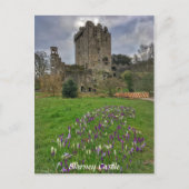 Blarney Castle, County Cork, Ierland Briefkaart (Voorkant)