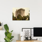 Blarney Castle, County Cork Poster (Thuiskantoor)