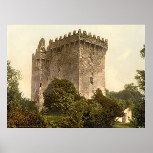 Blarney Castle, County Cork Poster
