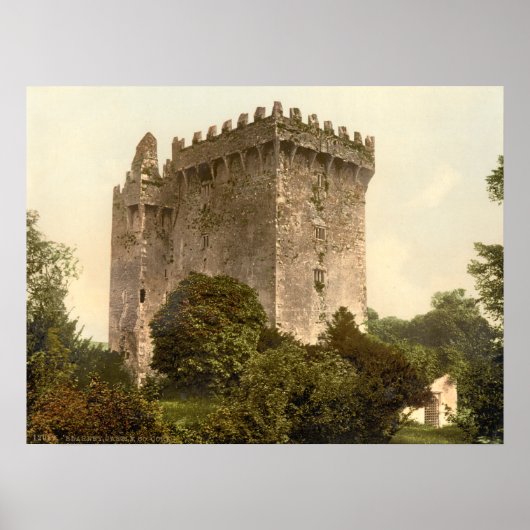 Blarney Castle, County Cork Poster (Voorkant)