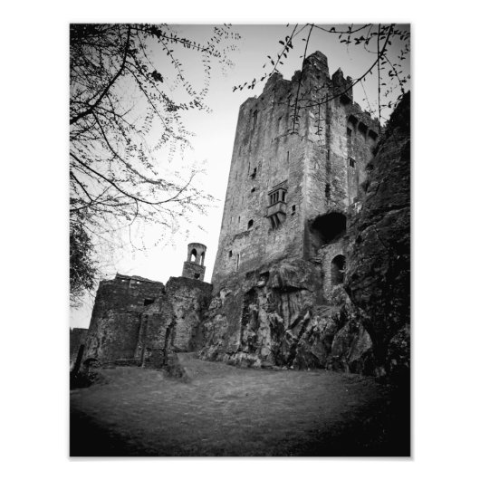 Blarney Castle Foto Afdruk (Voorkant)
