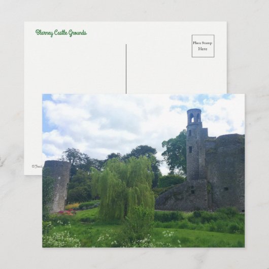 Blarney Castle Grounds Briefkaart (Voorkant / Achterkant)