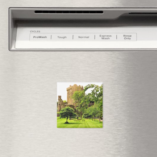 Blarney Castle, Ierland Magneet (Insitu (Vaatwasser))