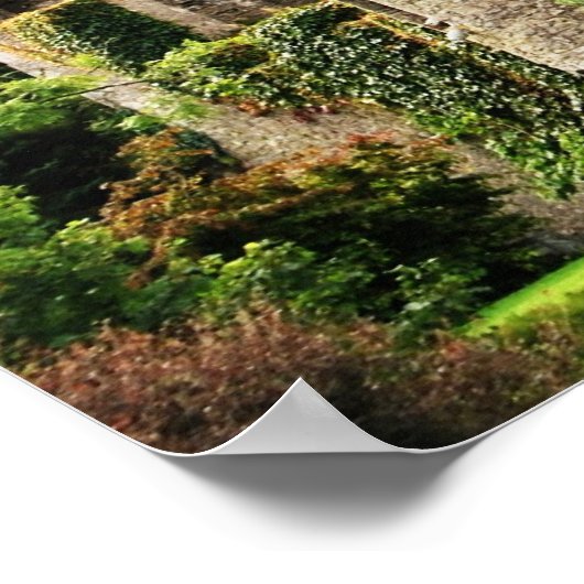 Blarney Castle, Ierland Poster (Hoek)