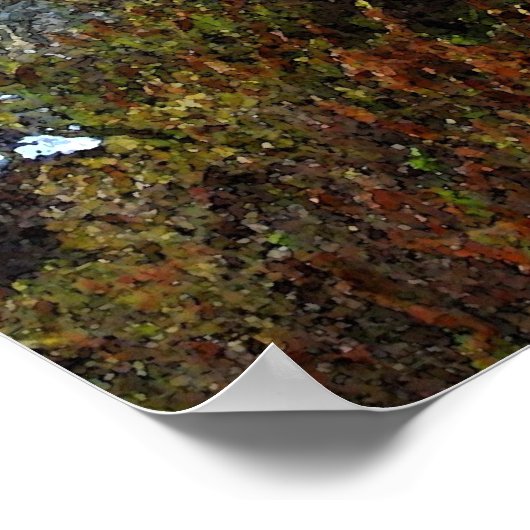 Blarney Castle, Ierland Poster (Hoek)