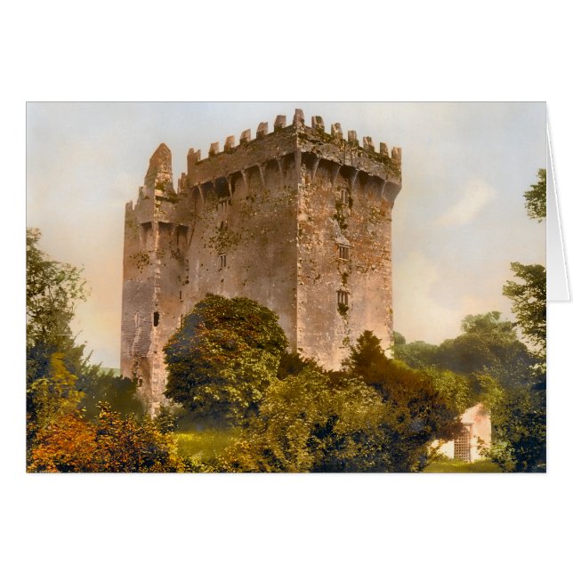 Blarney Castle Ireland (Voorkant Horizontaal)