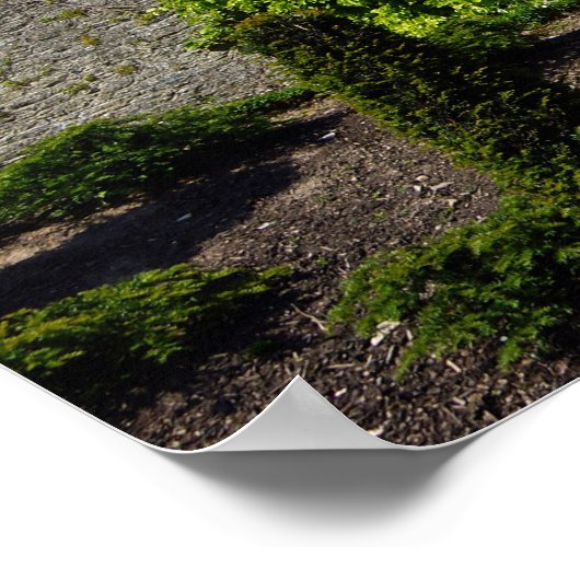 Blarney Castle Poster (Hoek)