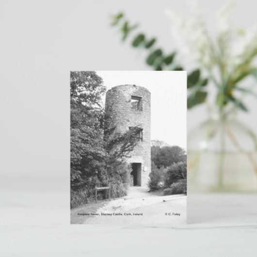 Blarney Castle Tower briefkaart (Staand voorkant)