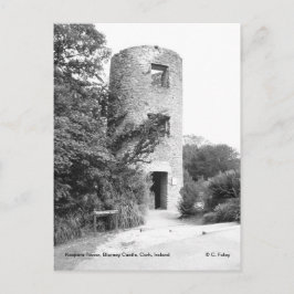 Blarney Castle Tower briefkaart