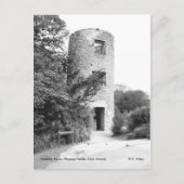 Blarney Castle Tower briefkaart (Voorkant)