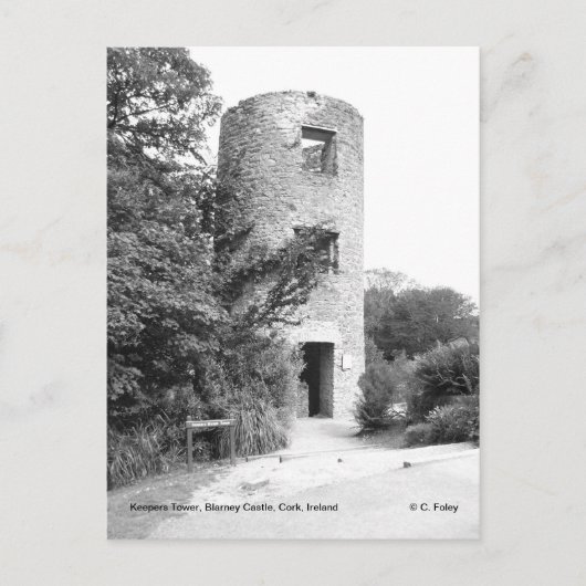 Blarney Castle Tower briefkaart (Voorkant)