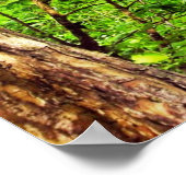 Blarney Greenwood Print (Hoek)